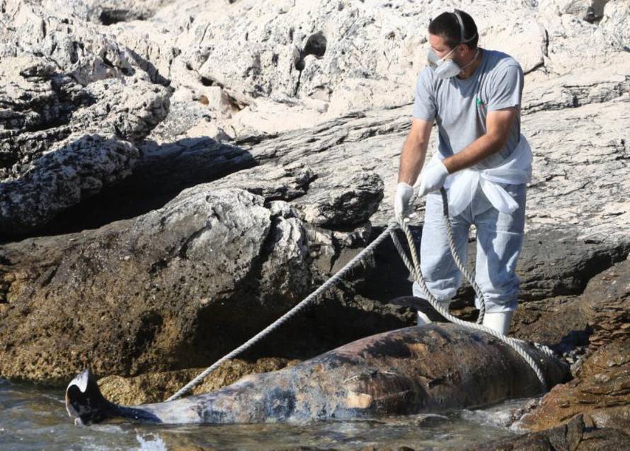 Duško Jaramaz/PIXSELL