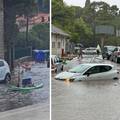 VIDEO Potop u Dubrovniku:  Slijevaju se vodopadi, kaos na Pilama, a neki se voze na SUP-u