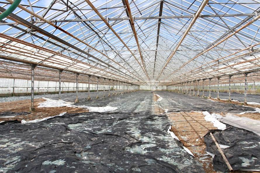 Ivana Ivanović/Pixsell