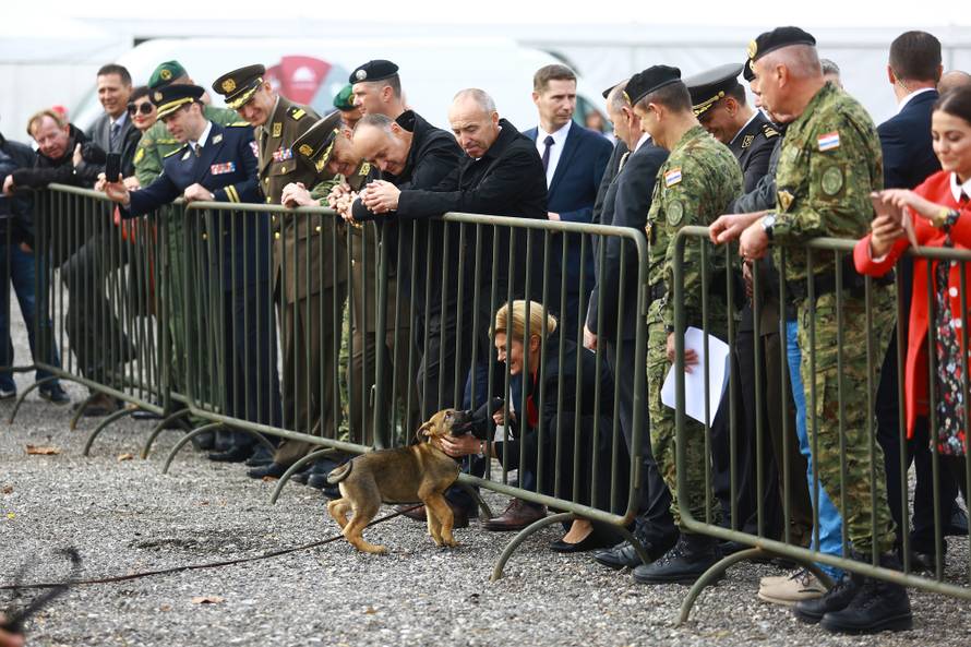Zagreb: Predsjednica obiÅ¡la vjeÅ¾bu vojnih pasa povodom obljetnice Tigrova