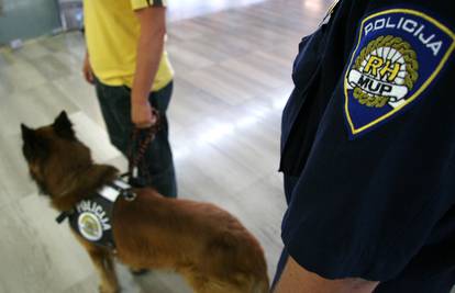 Policijski pas Pik opet u akciji: Nanjušio je pola kile heroina