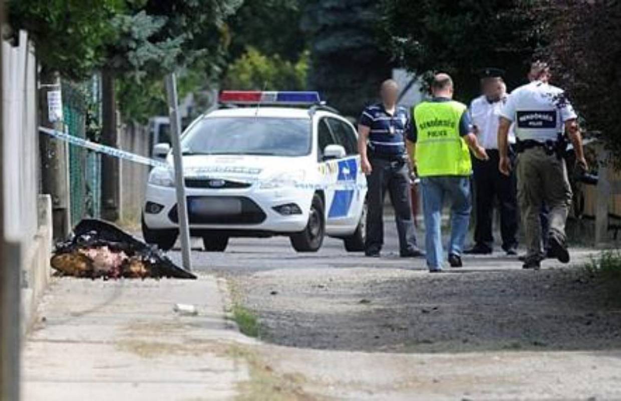 Uhitili skupinu koja je zakapala žive ljude, vođa bio Arkanovac