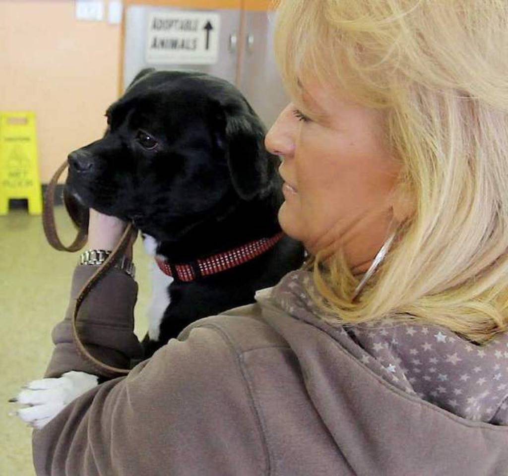 Michigan Humane Society