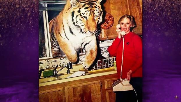 Dakota Johnson's Grandmother Tippi Hedren Owns 14 Lions & Tigers | The Graham Norton Show