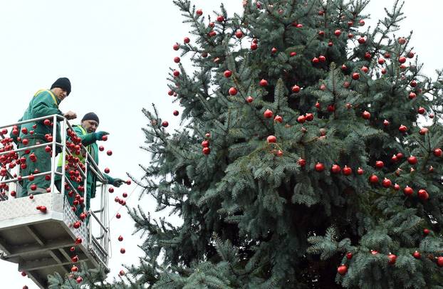 Sisak: Ukrašavanje božićnog drveta u središtu grada