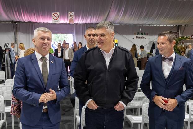 Otvoren 17. Internacionalni sajam pršuta u Tinjanu