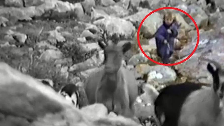 'Snimio sam Luku Modrića dok tjera koze na Velebitu 1990.'