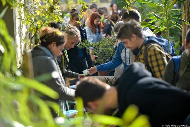 Zagreb: Veliki interes izazvala je godišnja rasprodaja viška biljaka u Botaničkom vrtu