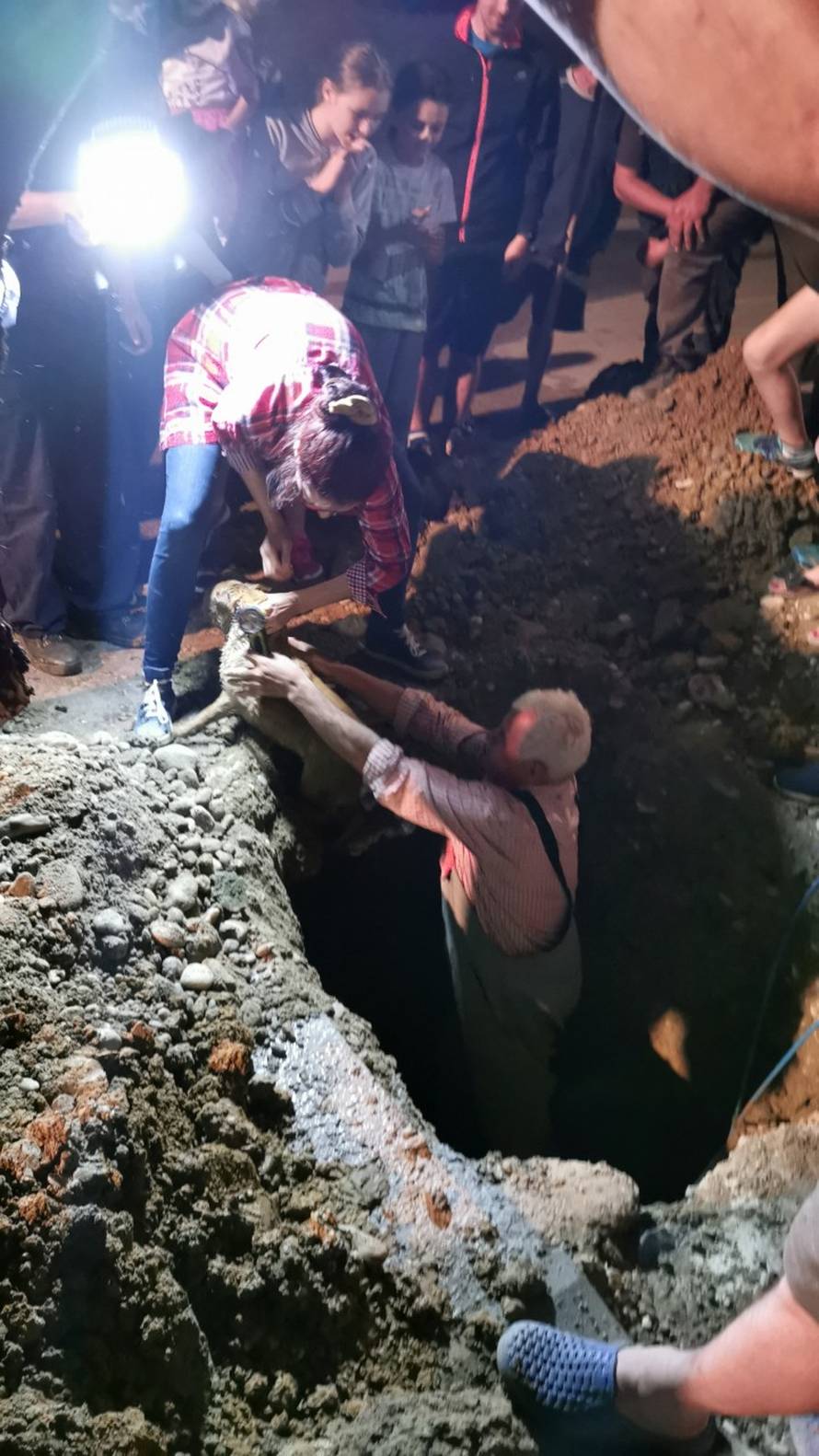 Psi zapeli u Mačkovcu: Kopali cestu pa ih spasili iz šahta...