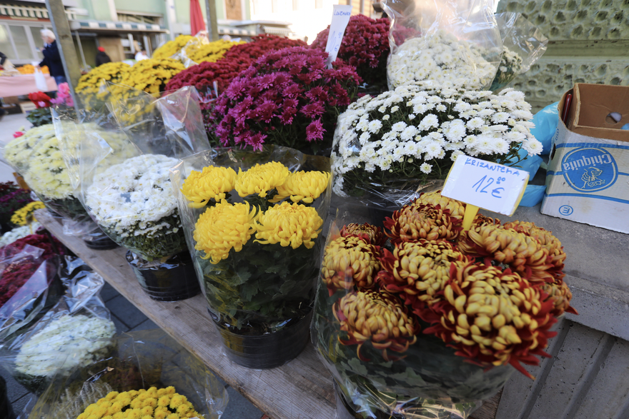 Pogledajte cijene cvijeća i cvjetnih aranžmana na tržnici u Šibeniku i Rijeci uoči Svih svetih