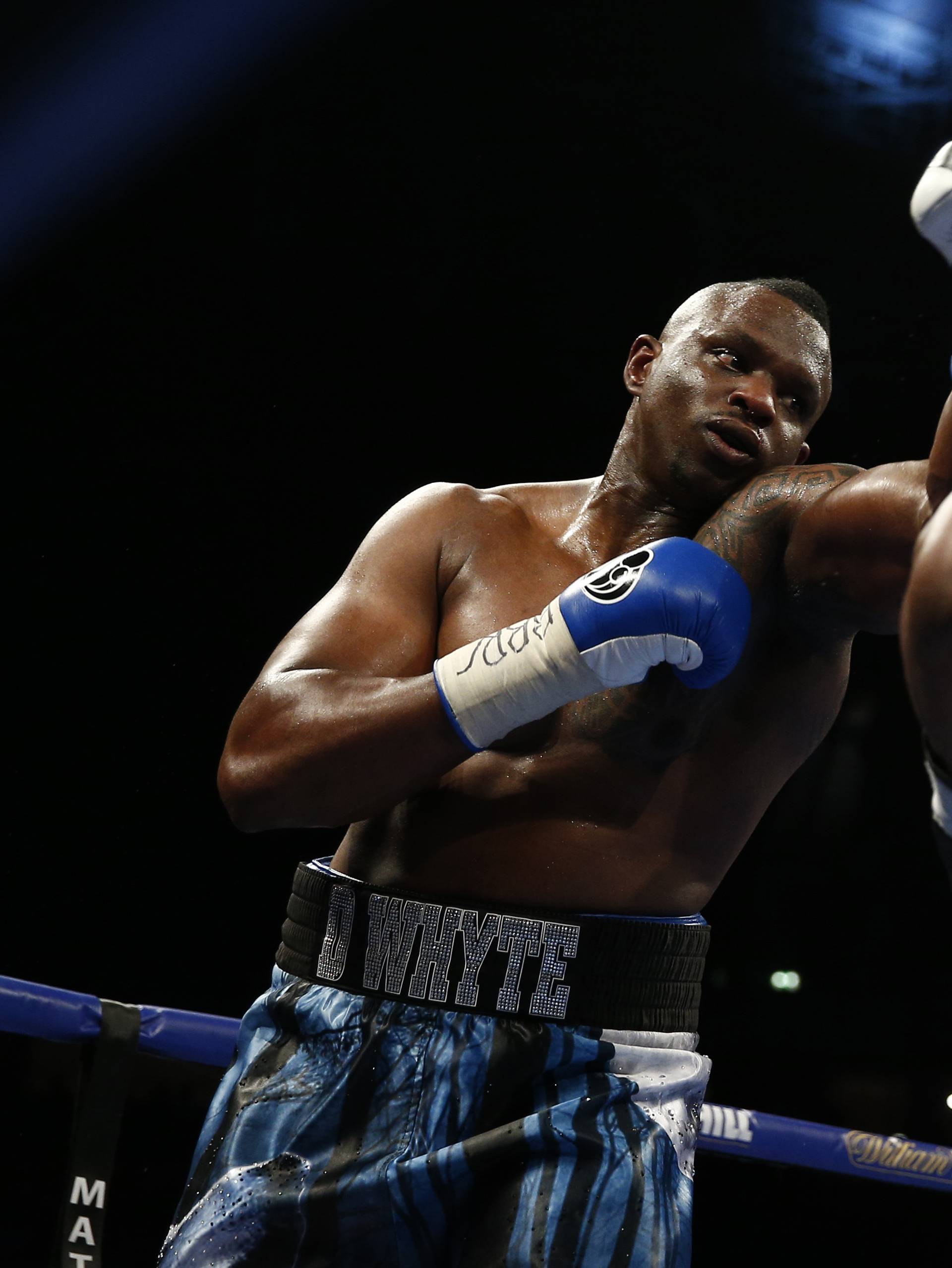 Dereck Chisora in action against Dillian Whyte (L)