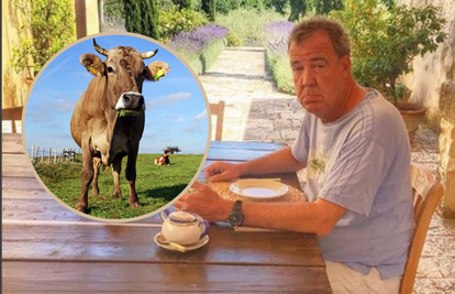 Clarksonu za vrijeme snimanja emisije krava zdrobila testise: 'Napala me dok sam klečao...'