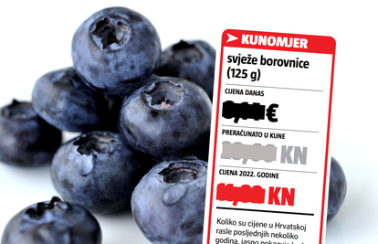 KUNOMJER Mora da ručno beru kada su svježe borovnice ovako skupe. Skuplje su za 1,64 eura!