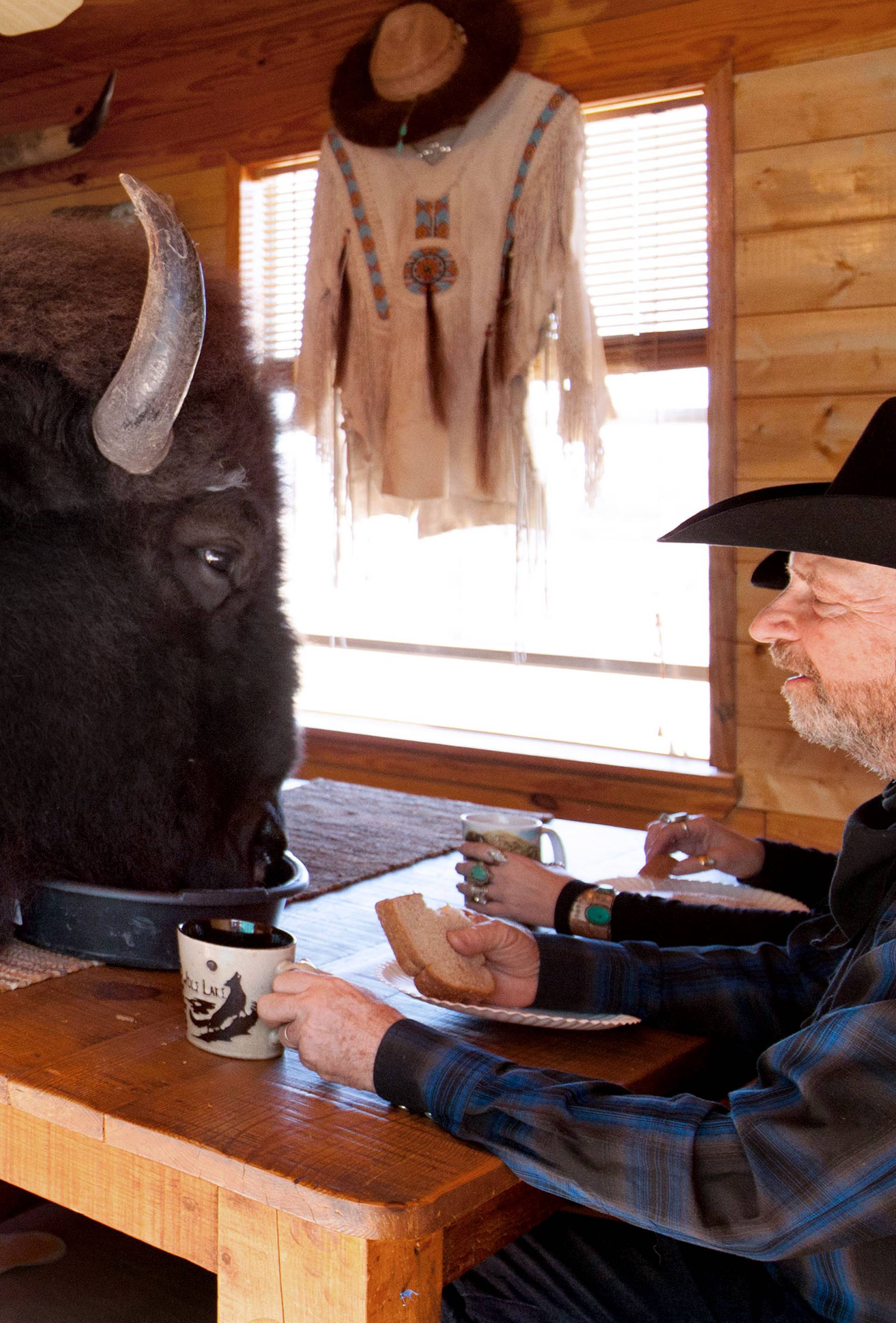 Pet buffalo