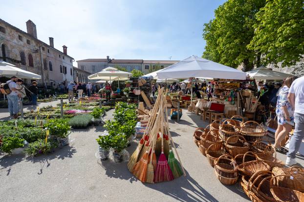 Svetivinčenat: Fešta od Rožic