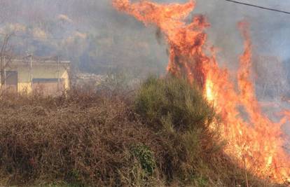 'Vatrena' srijeda: Čak 9 požara u Požeško-slavonskoj županiji 