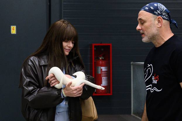 Zagreb: Izložba zmija, papiga, guštera i paukova u Family mallu