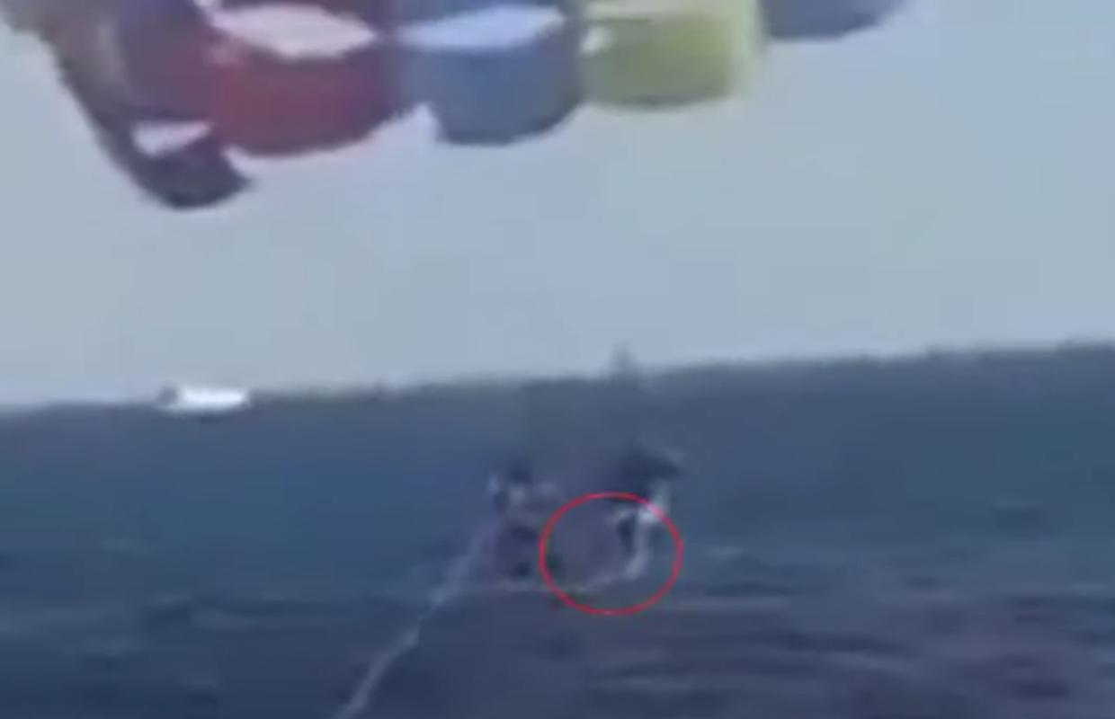 VIDEO Sve snimili: Morski pas je otkinuo dio noge paraglajderu!