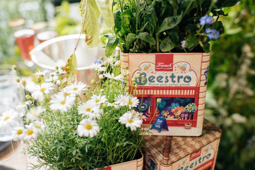 Znate li kada je svjetski dan pčela? Evo kako im zajedno možemo pomoći