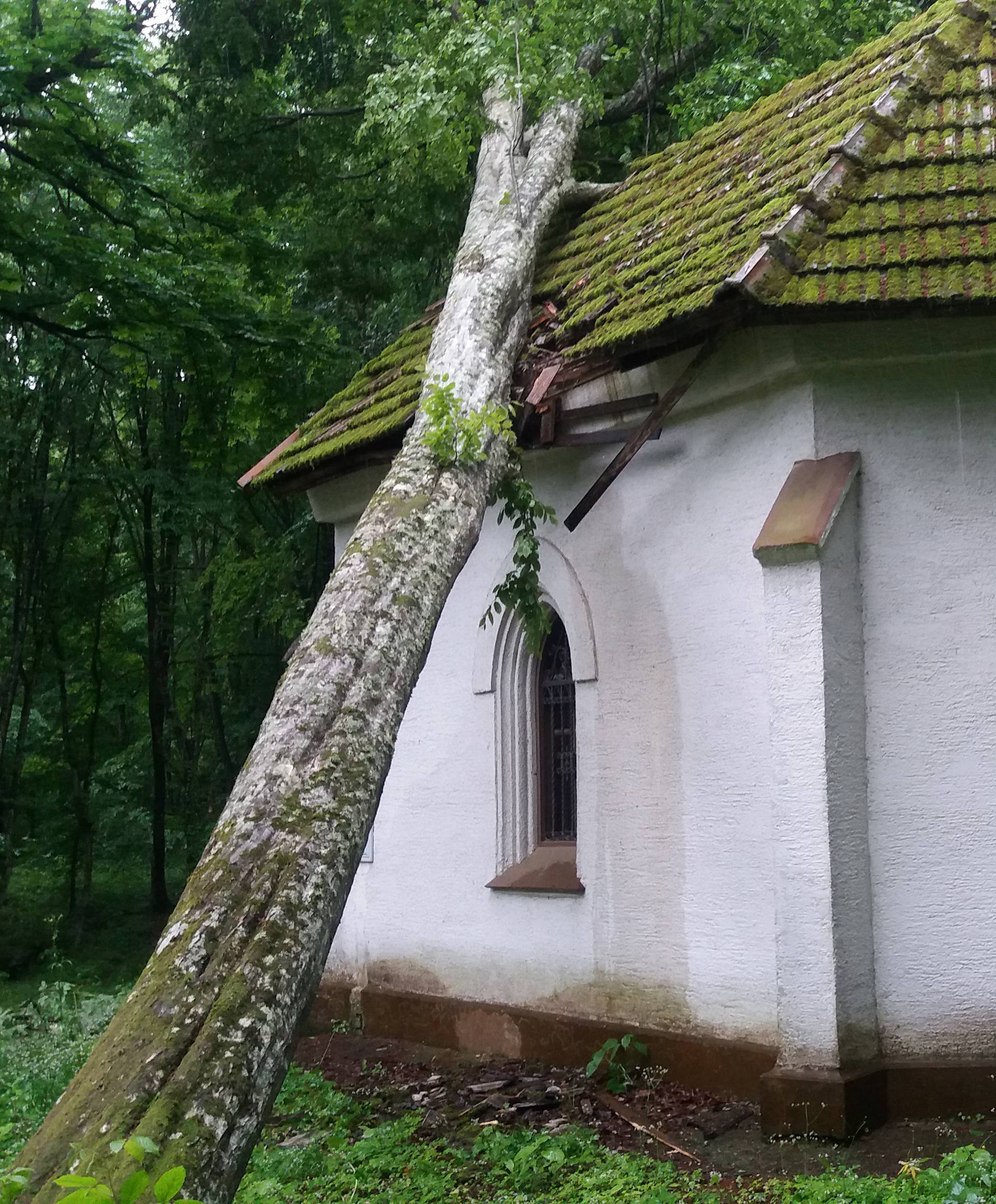 Bujice nosile sve pred sobom, stablo palo na crkvu sv. Vurija