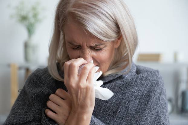 Ill,Mature,Woman,Covered,With,Blanket,Blowing,Running,Nose,Sneeze