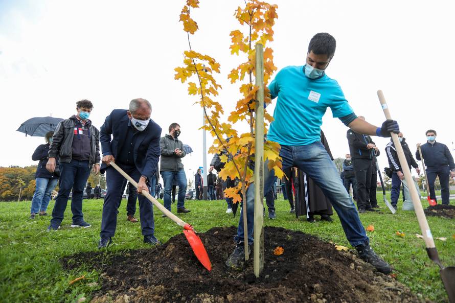 Zagreb: Oko crkve BDM Anđeoske u Dubravi zasađeno je 250 mladih stabala
