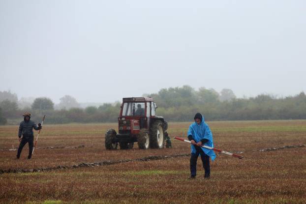 Velika Gorica: Održano jubilarno 20. državno natjecanje u oranju
