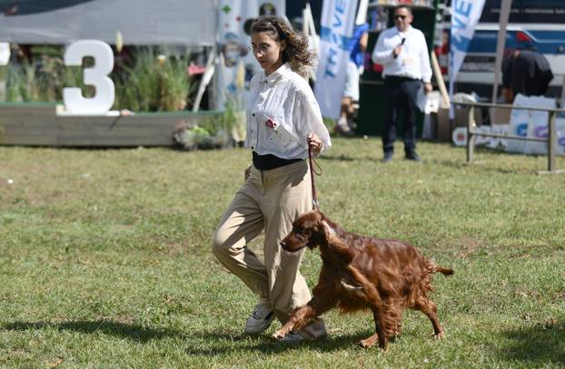 Nacionalna izložba pasa "Velika Gorica Trophy 2025"