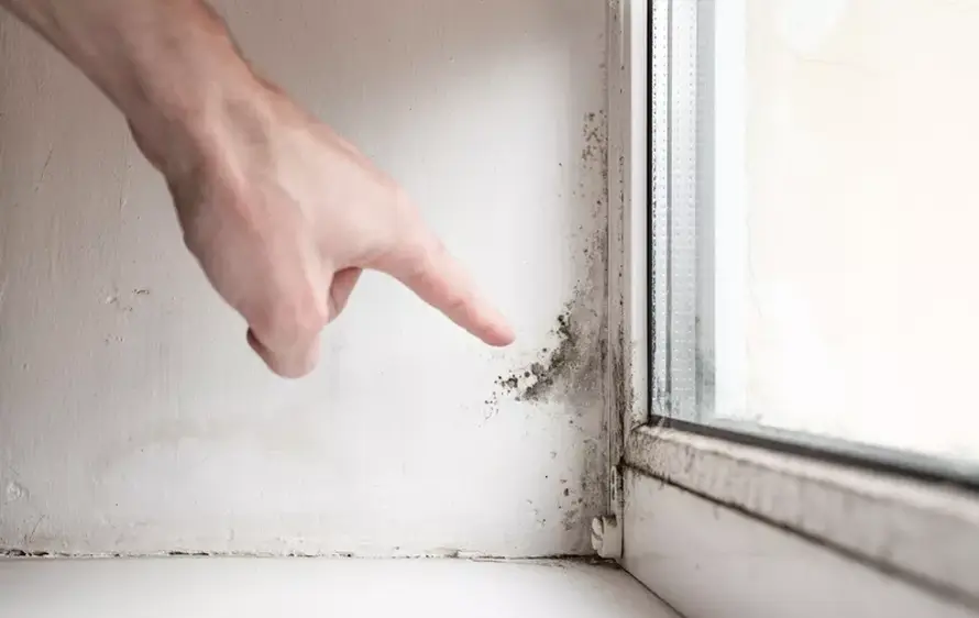 Kako je Livio iz Marčane uklonio vlagu i plijesan u svom domu i apartmanu