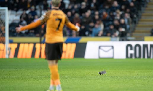 VIDEO Krznati uljez dvaput prekinuo utakmicu Jakirovi&cacute;a