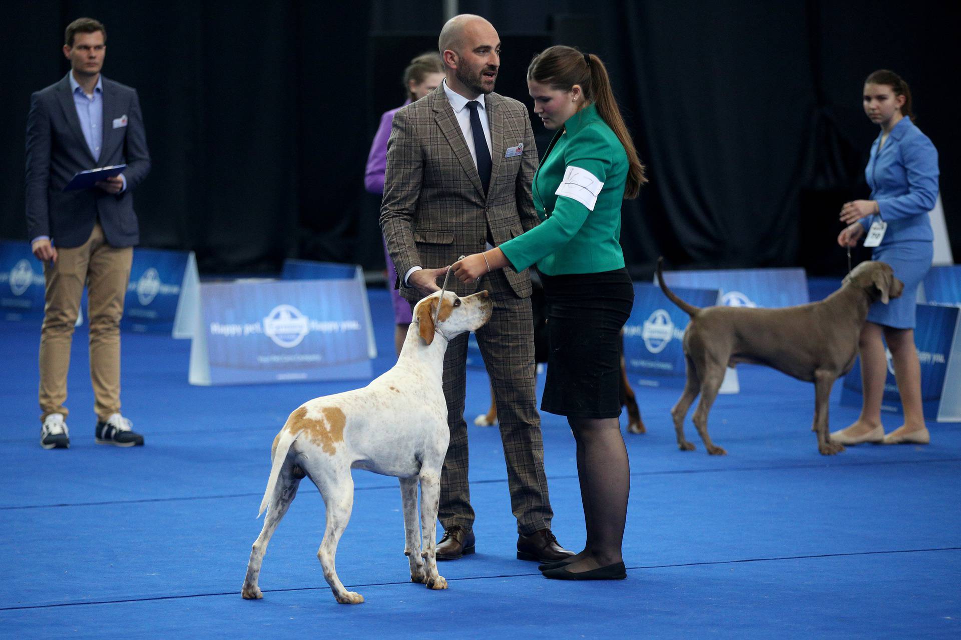 Zagreb: Drugi dan izložbe World Dog Show 2024