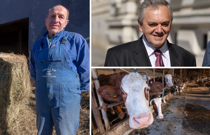 'HDZ-ovca koji je kravama sipao otrov snimile su kamere. Moglo je biti opasno i za zdravlje ljudi'