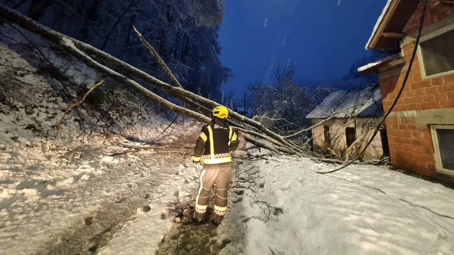 Požeški vatrogasci s prometnica uklonili desetak stabala: 'Jedno drvo je palo na obiteljsku kuću'