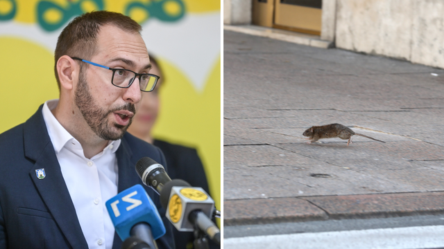 HDZ: 'U Zagrebu je sve više štakora, a gradonačelnik sve to ignorira. Idemo prema kaosu'