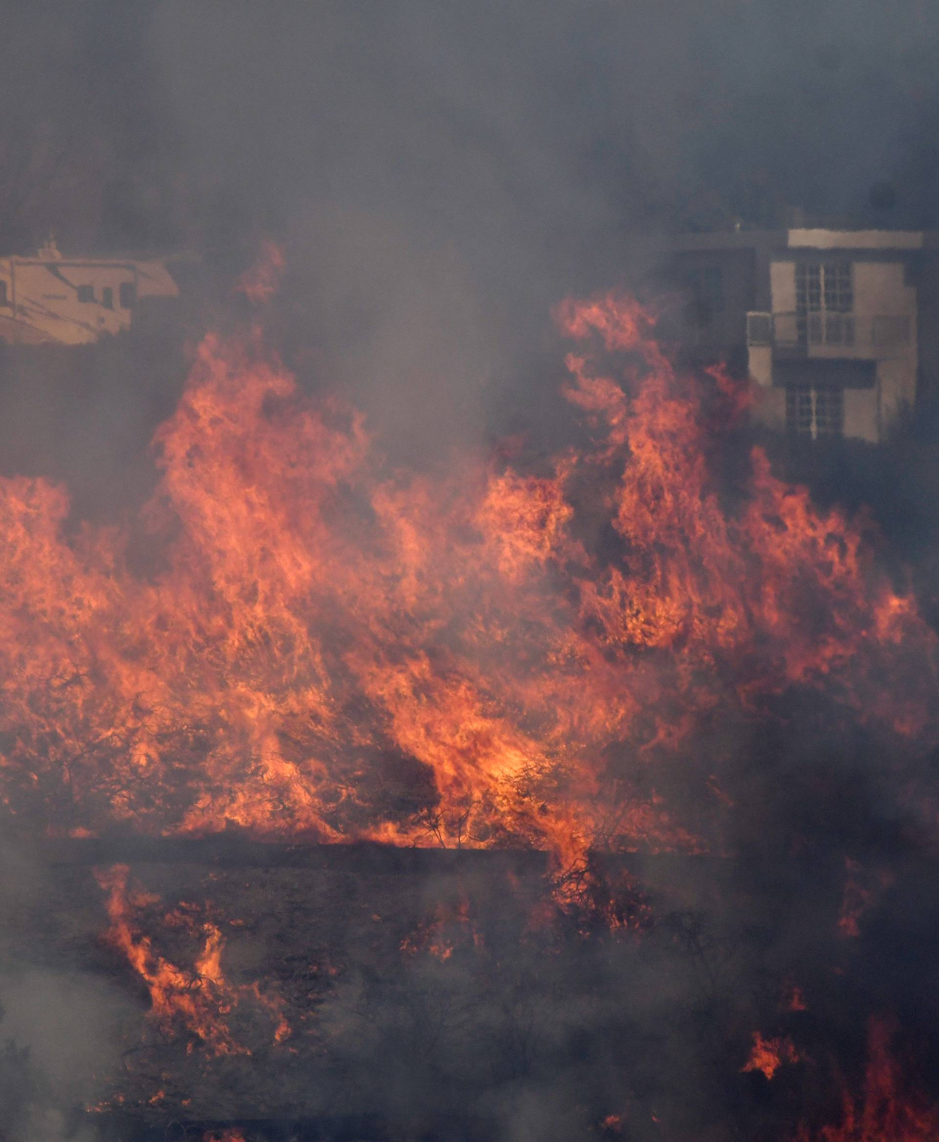 Flames from the Skirball Fire spread on a hillside on the west side of Los Angeles