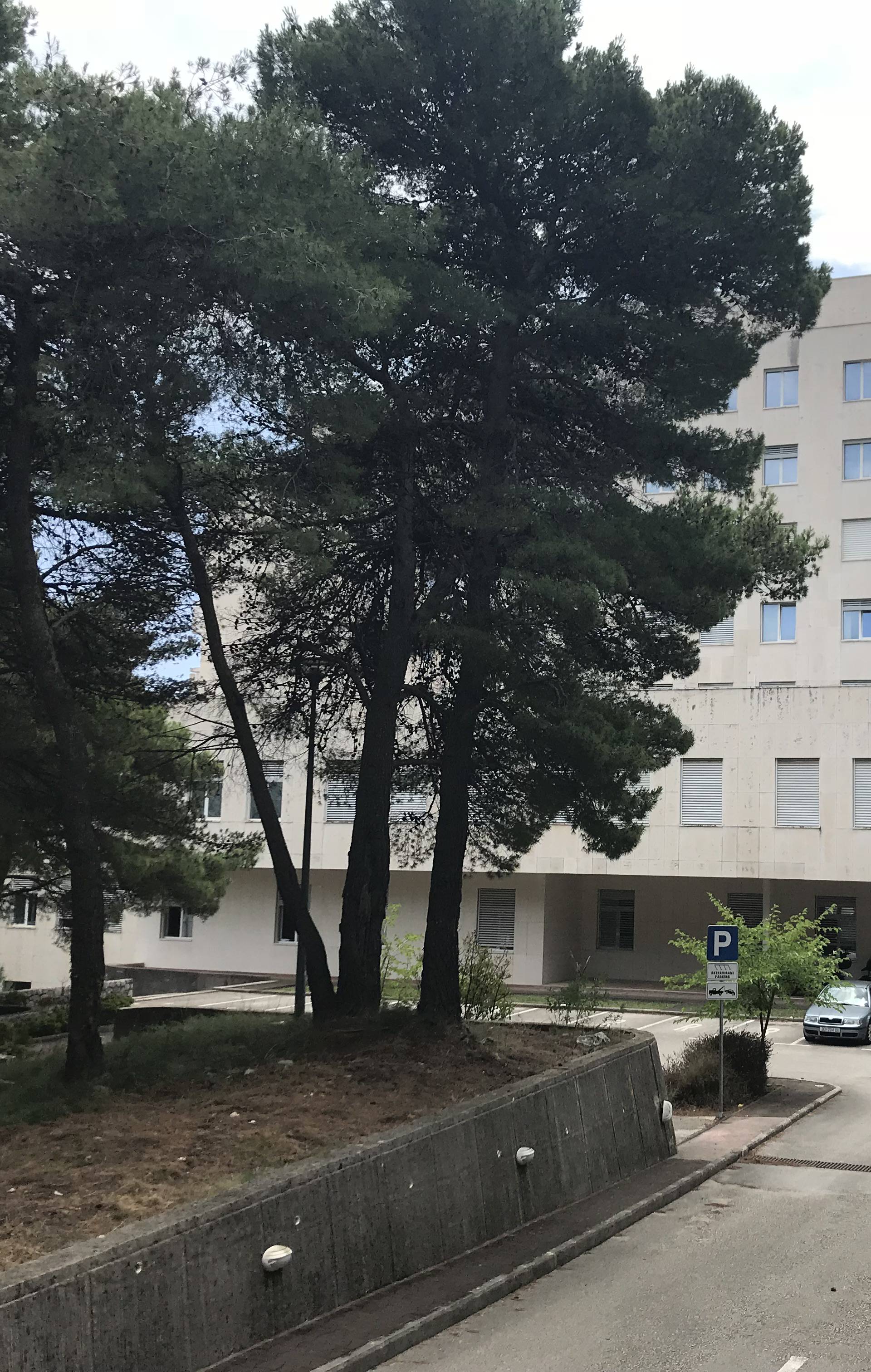 Pustoš u Dubrovniku: Sablasno prazni hodnici u bolnici straha