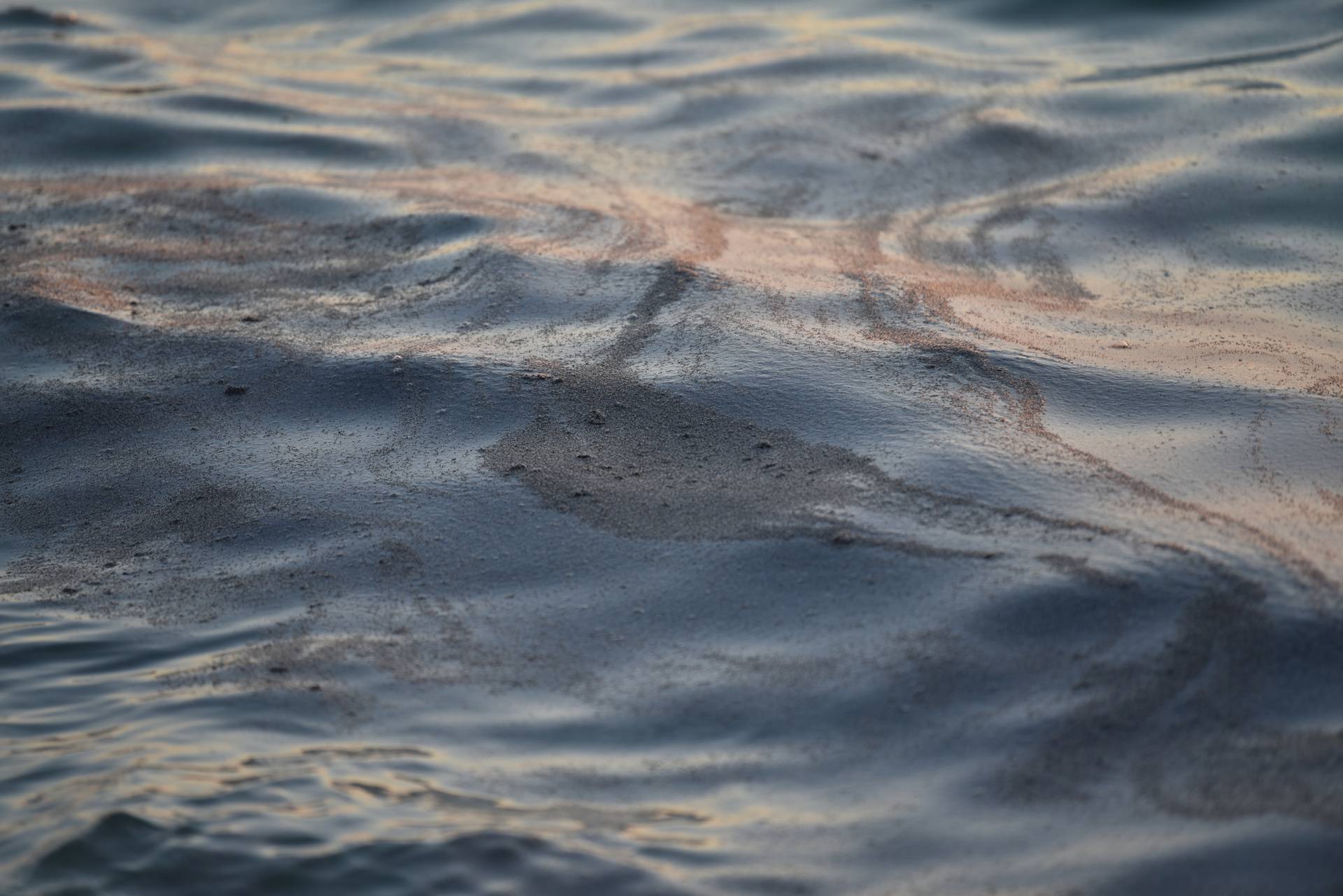 Mušice preplavile more na plaži Donja Luka u Makarskoj