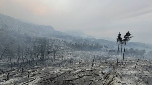 Makarska: Opožareno područje Parka prirode Biokovo