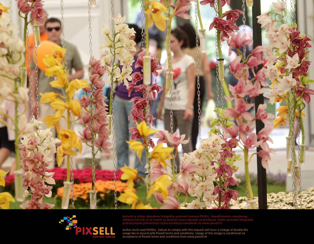 Pixsell