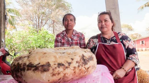 Thai woman, 49, finds 7kg lump of whale vomit ambergris washed up outside her home