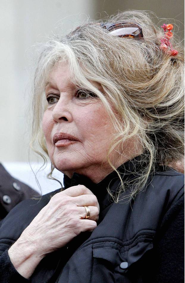 The legendary Brigitte Bardot agreed to an interview after 11 years, had a special condition