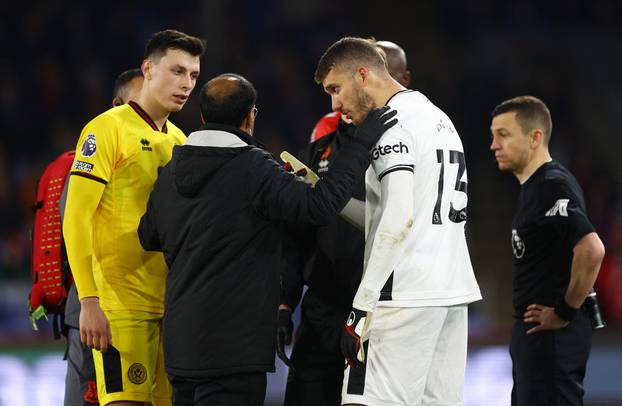 Premier League - Crystal Palace v Sheffield United