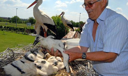 Slavonski Brod: Za deset dana pet malih roda idu na prvi let