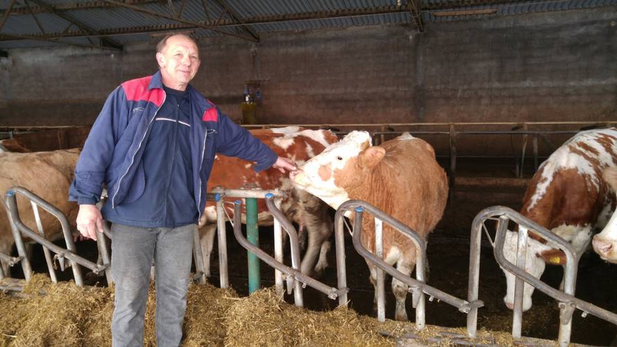 Hrabar potez: Za svoje krave gradi štalu od čak milijun kuna