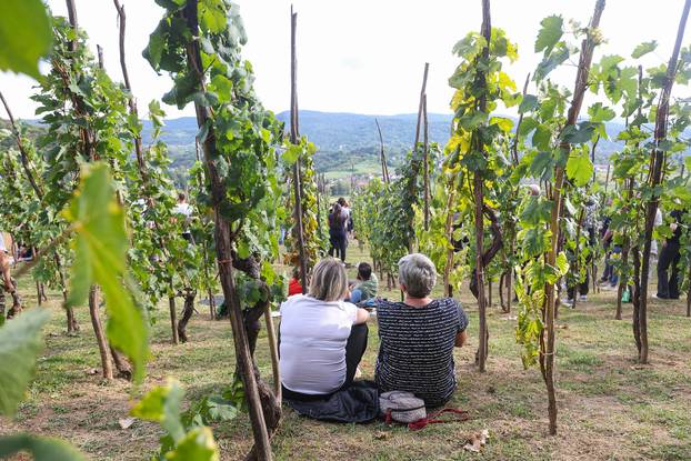Gornja Stubica: Održan 28. Susret za Rudija
