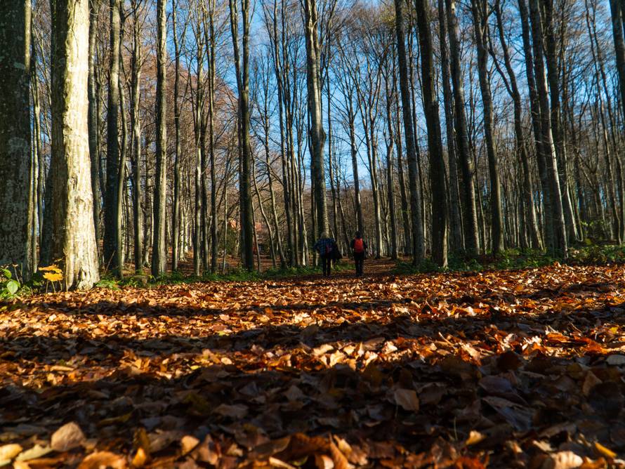 Izložba „Medvednica, neraskidiva veza sa Zagrebom“