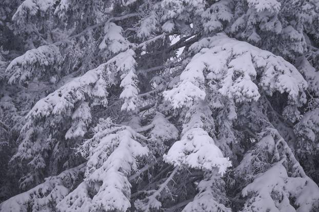 Zagreb: Zimska bajka na Sljemenu
