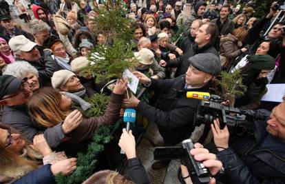 'Udomljavanje': Razgrabljena Zmajlovićeva božićna drvca