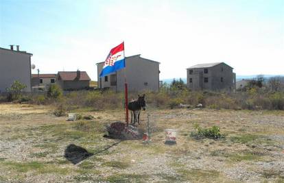 Na zastavi  nacrtao srce, pa dobio novčanu kaznu