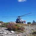 Dvije akcije HGSS-a zbog uboda stršljena: Planinar na Mosoru je izgubio svijest radi jake reakcije